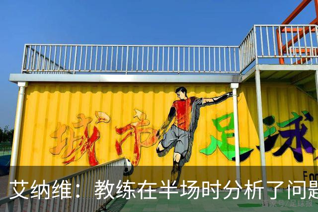 艾纳维：教练在半场时分析了问题 会仔细观察法国和巴拉圭的表现
